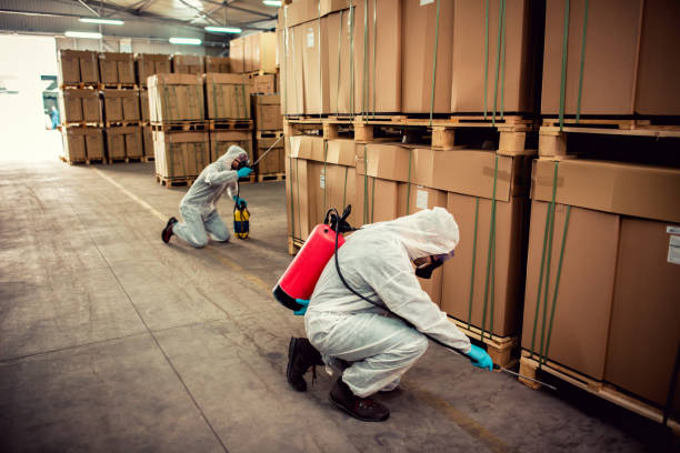Best Pest Control Near Me  in Lifornia City, CA