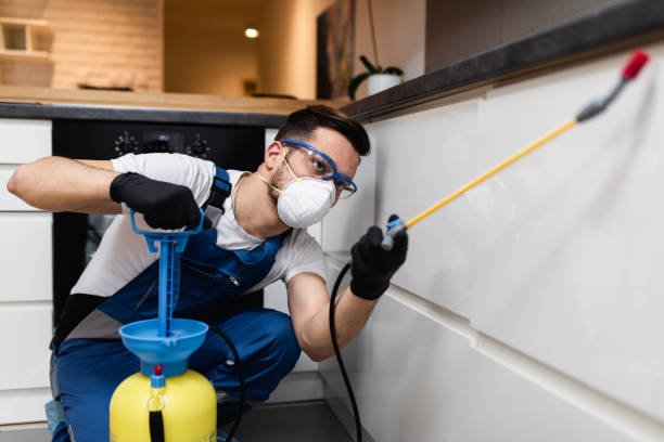 Best Termite Control Services  in Lifornia City, CA