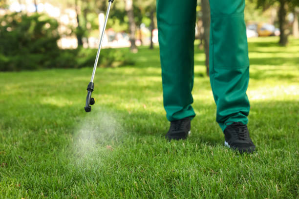 Best Affordable Pest Control Services  in Lifornia City, CA
