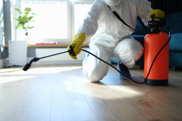 Reliable California City, CA Pest Control Solutions