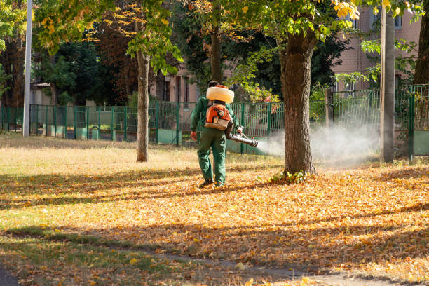 Best Best Pest Control Companies  in Lifornia City, CA